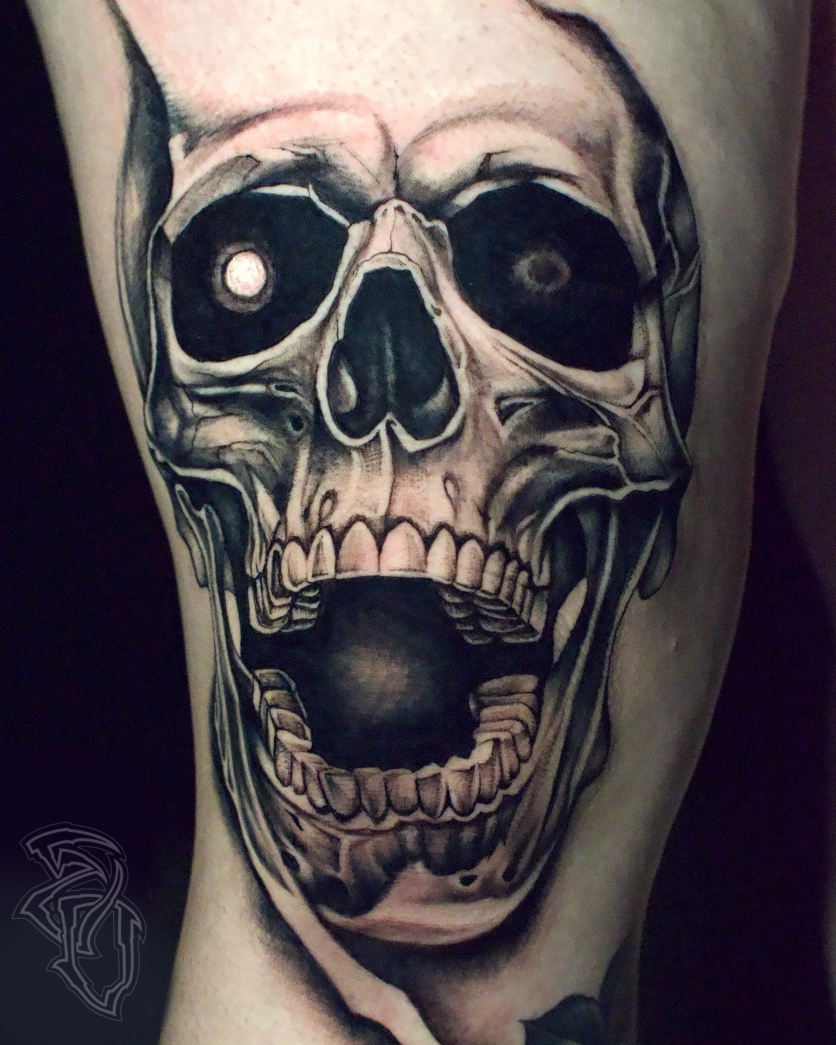 Skull